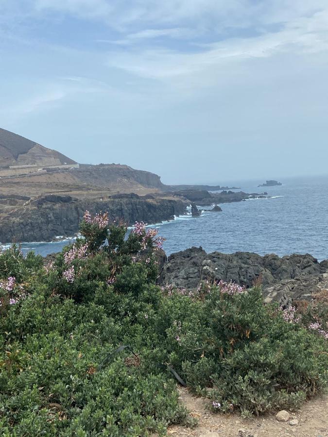 Canary Apartments Arava Las Palmas de Gran Canaria Dış mekan fotoğraf